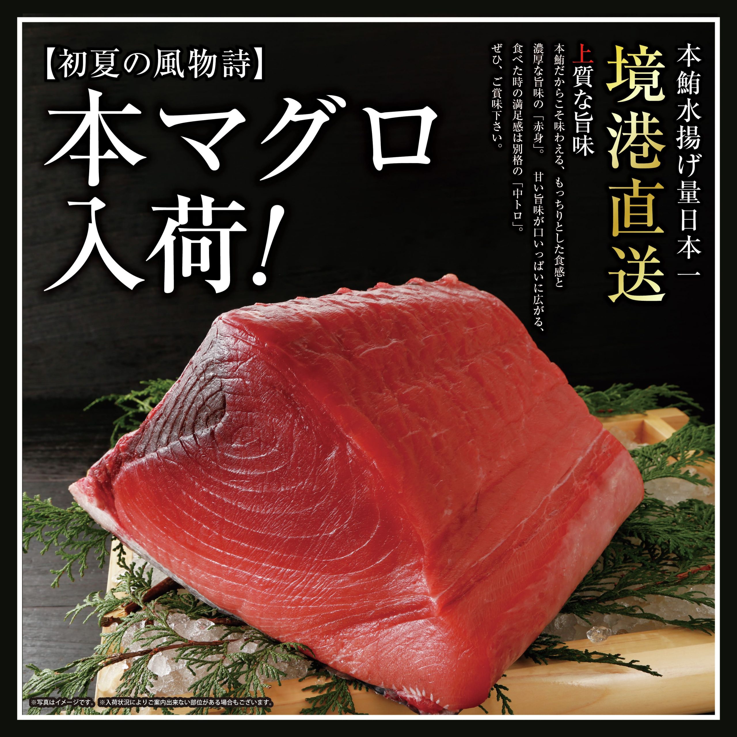 コンセプト画像